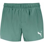 Puma Swim Shorts M 93806408 dark green – Hledejceny.cz