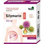 Silymarin Forte 250 mg mikronizovaný ostropestřec s vit D3 40 tablet – Hledejceny.cz
