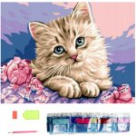 Norimpex Diamantové malování Kočičí oči 30 x 40 cm – Sleviste.cz