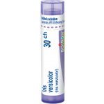 IRIS VERSICOLOR POR 30CH GRA 1X4G – Hledejceny.cz