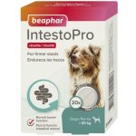 Beaphar IntestoPro L pro velké psy 20 tablet – Zboží Mobilmania