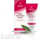 Weleda šalvějový balzám na dásně 30 ml