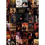 Franz Schubert German Lieder High Voice Vol. I noty na klavír zpěv + audio – Hledejceny.cz