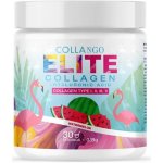 Collango ELITE KOLAGEN + kyselina hyaluronová Kolagen typu I, II, III, V meloun 339g – Hledejceny.cz