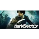 Dark Sector