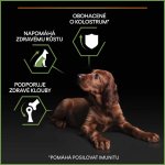 Purina Pro Plan Small & Mini Puppy Healthy Start kuře 2 x 0,7 kg – Hledejceny.cz