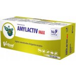 vetfood Amylactiv MAX 120 tbl – Hledejceny.cz