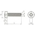 šroub M5x10 ZINEK půlkulatá hlava TORX 25 samořezný DIN 7500 C-TX [1 ks] – Sleviste.cz