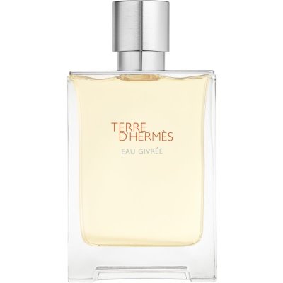Hermès Terre d’Hermès Eau Givrée parfémovaná voda pánská 100 ml – Sleviste.cz