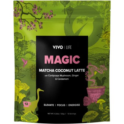 Vivo Life MATCHA kokosové latté Coconut Latte 120 g – Zboží Mobilmania