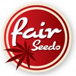 Fair Seeds AUTO Blueberry semena neobsahují THC 10 ks – Zboží Dáma