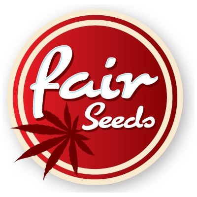 Fair Seeds AUTO Blueberry semena neobsahují THC 10 ks – Zboží Dáma