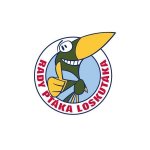 Vodnář Koi Junior 0,5 kg – Zboží Mobilmania