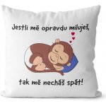 Impar Polštář Nechej mě spát 40x40 – Zboží Dáma