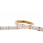 Ledshopik CRI97 – Zboží Dáma