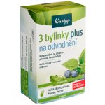 Kneipp Werke 3 bylinky na odvodnění tobolek 60 – Hledejceny.cz