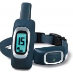 PetSafe elektronický obojek Lite 300m – Hledejceny.cz