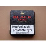 Villiger Black Mini Sumatra 20 ks – Zboží Dáma