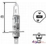 Hella H1 P14,5s 24V 70W | Zboží Auto