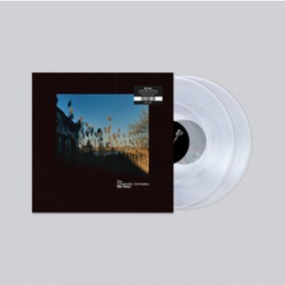 Ninja Tune CINEMATIC ORCHESTRA - Ma Fleur LP – Hledejceny.cz