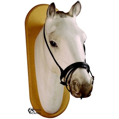 Waldhausen Nánosník COMBINED Černá – Zboží Dáma