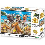 PRIME 3D Puzzle Surikatí selfie 48 ks – Zboží Dáma