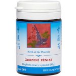 TCM Herbs Zrození Fénixe 009 prášek 30 g – Hledejceny.cz