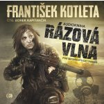 Rázová vlna - František Kotleta - Čte Borek Kapitančík – Hledejceny.cz