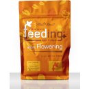 Green House Seed Powder feeding short Flowering 0,5 kg