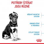 Royal Canin Maxi Puppy 4 kg – Zboží Mobilmania