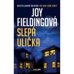 Slepá ulička - Joy Fielding – Hledejceny.cz