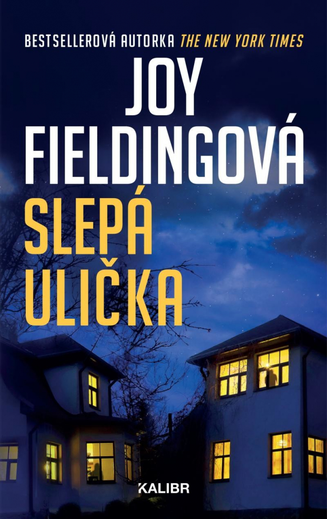 Slepá ulička - Joy Fielding