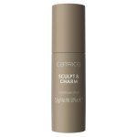 Catrice Sculpt & Charm Contour Stick konturovací tyčinka 010 Ash 5,5 g – Zboží Dáma