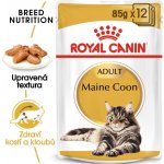 Royal Canin Maine Coon Adult 24 x 85 g – Hledejceny.cz