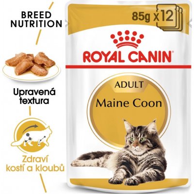 Royal Canin Maine Coon Adult 24 x 85 g – Zboží Mobilmania