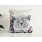 Xpose Mikroplyš KITTY (digitální tisk) 40 x 40 cm – Sleviste.cz