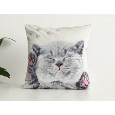 Xpose Mikroplyš KITTY (digitální tisk) 40 x 40 cm – Sleviste.cz