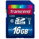 Transcend SDHC 16 GB UHS-I U1 TS16GSDU1 – Zboží Mobilmania