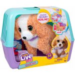 Little Live Pets Pejsek Pudl Hazel Ouchies Interaktivní pejsek 26733 – Zboží Mobilmania