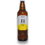 Primátor ležák 11% 0,5 l (sklo) – Zboží Dáma