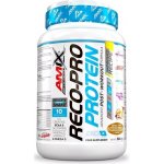 Amix Reco-Pro 500 g – Zbozi.Blesk.cz