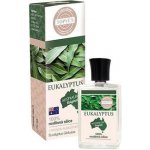 Topvet Vavřín 100% silice 10 ml – Hledejceny.cz