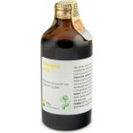 Dědek kořenář Novy Diviznová směs PK 100 ml – Hledejceny.cz