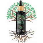 NatuRise Omega 3 olej z morských rias 100 ml Vegan – Hledejceny.cz