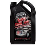 Evans Auto Cool 180 5 l – Zboží Mobilmania