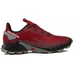 Salomon Alphacross 4 GTX BIRD/black/FRSTGY L41722800 – Zbozi.Blesk.cz