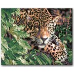 Zuty Malování podle čísel GEPARD – Sleviste.cz