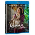Cukrkandl BD – Hledejceny.cz