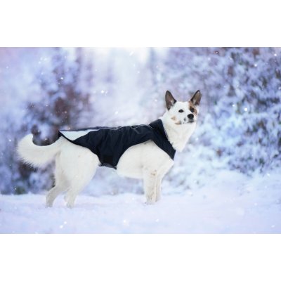 Vsepropejska Kit reflexní zimní bunda pro psa s límcem – Zboží Mobilmania