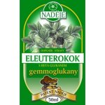 Naděje Eleuterokok s beta glukanem bylinná tinktura 50 ml – Zboží Mobilmania